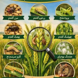 مهندسی کشاورزی